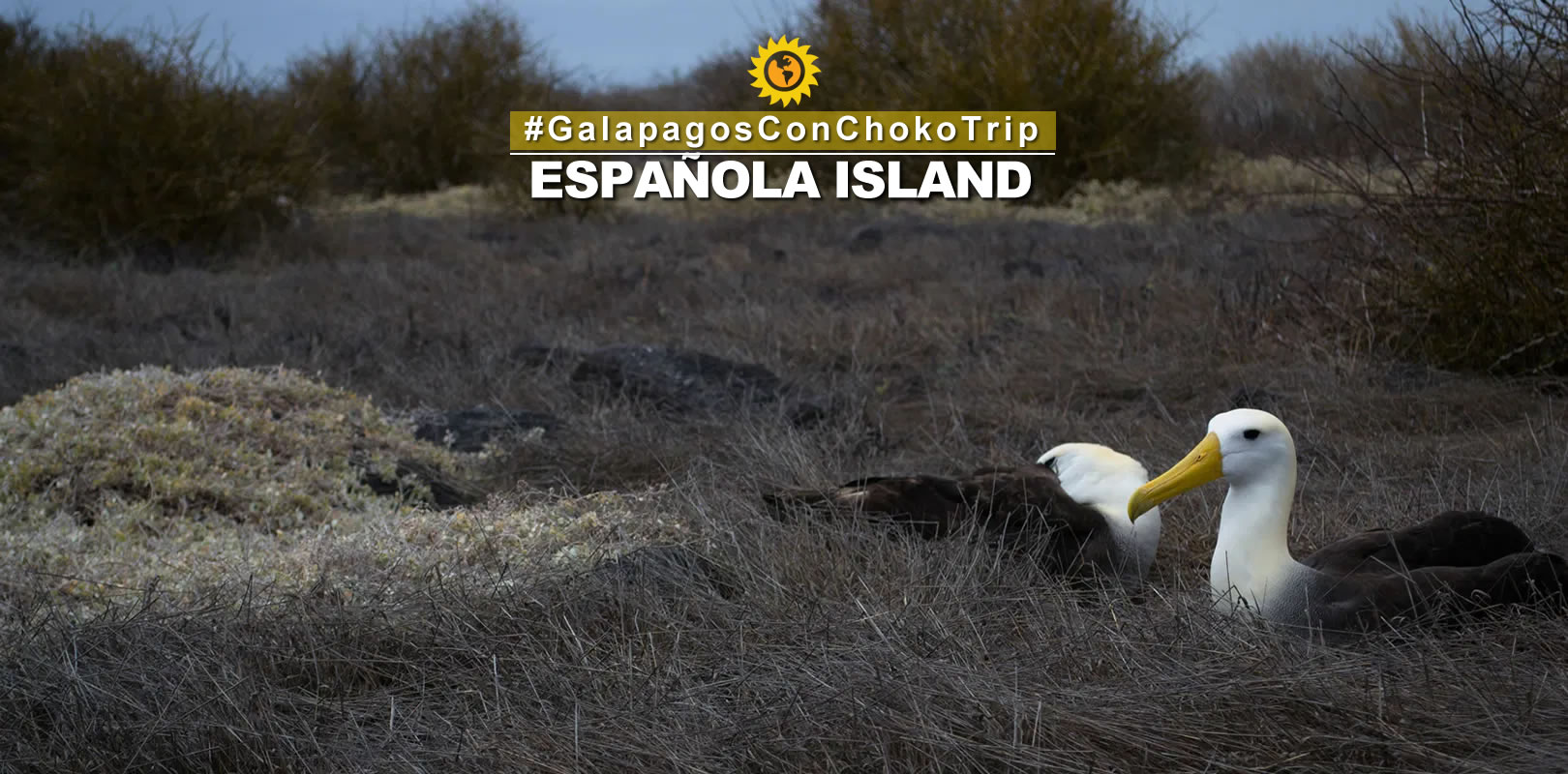 Espanola Island Galapagos Islands