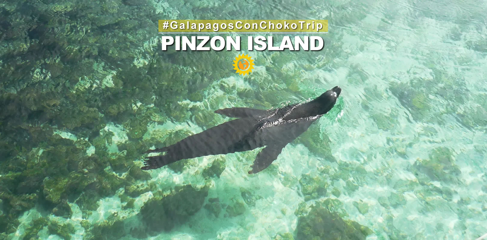 Pinzon island Galapagos