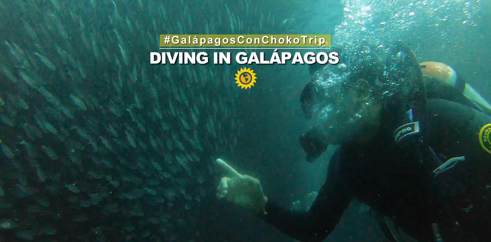 Diving in Galapagos