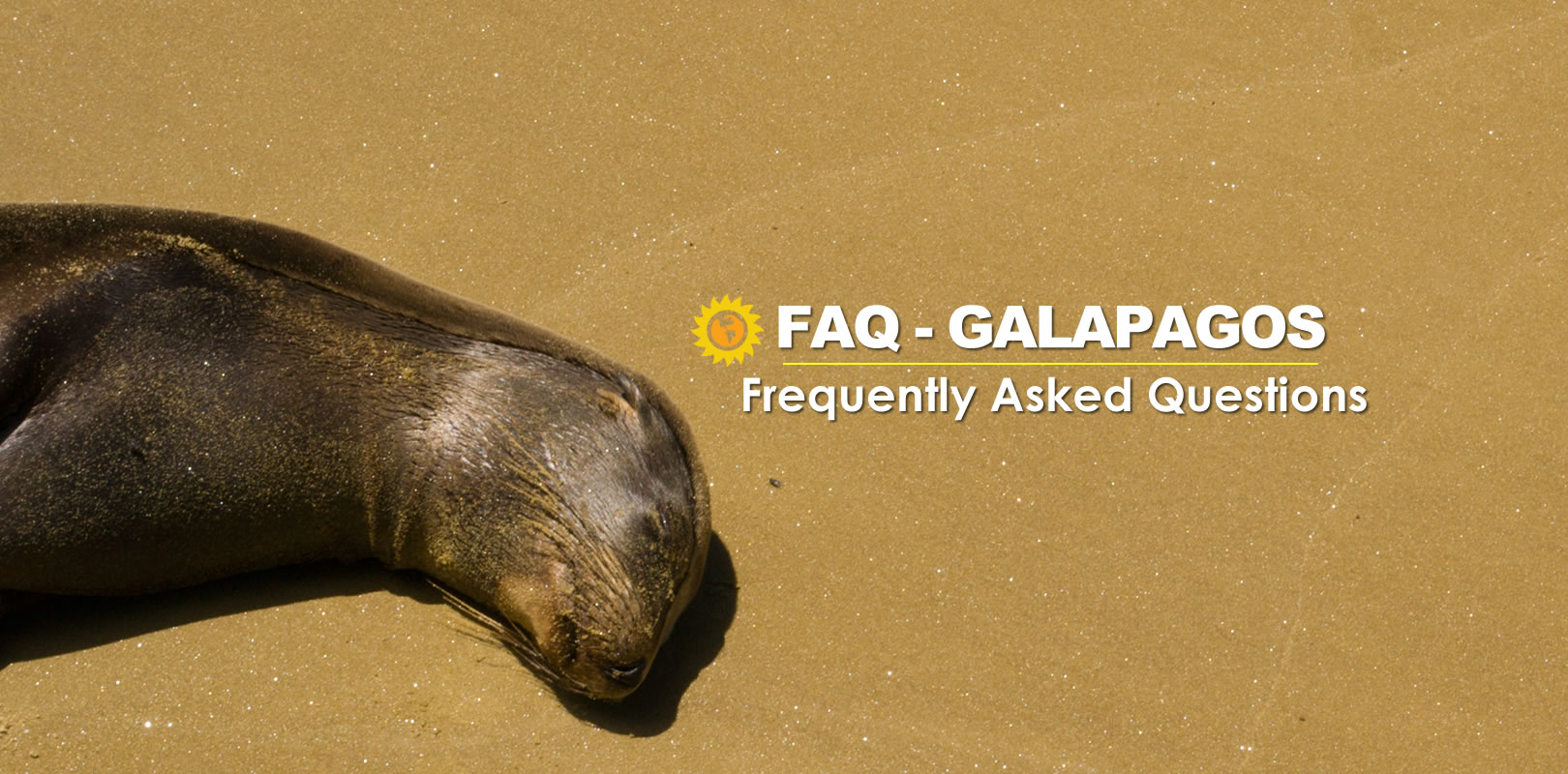 Galapagos FAQ Frequently Asked Questions